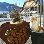 Lasserhof 3* Aigen im Ennstal