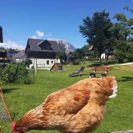 Guest house Lasserhof