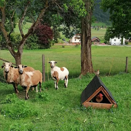 Lasserhof Aigen im Ennstal