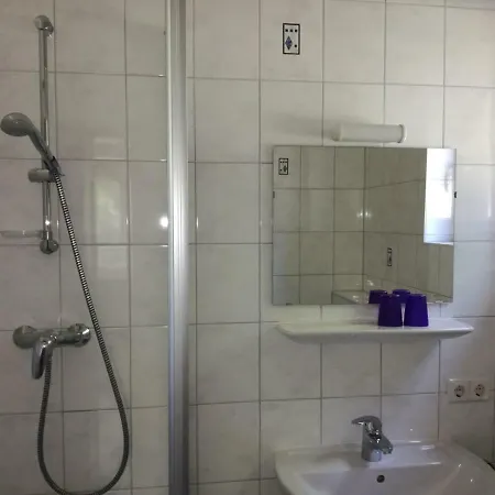 Lasserhof Guest house 3*