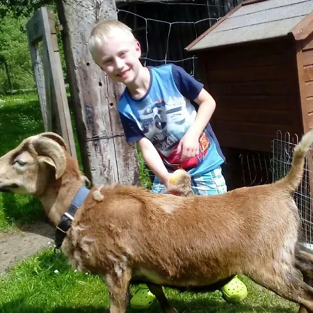 Lasserhof Guest house Aigen im Ennstal