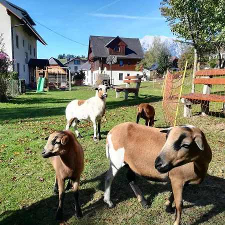 Lasserhof Affittacamere