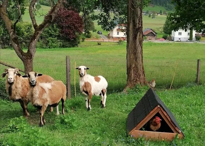 Lasserhof Aigen im Ennstal