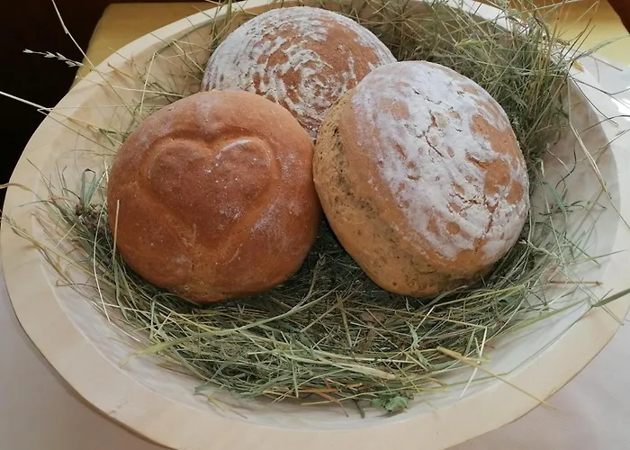 بيت ضيافة Lasserhof