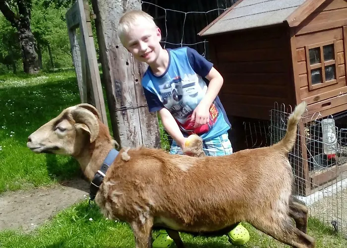 Lasserhof Gæstehus Aigen im Ennstal