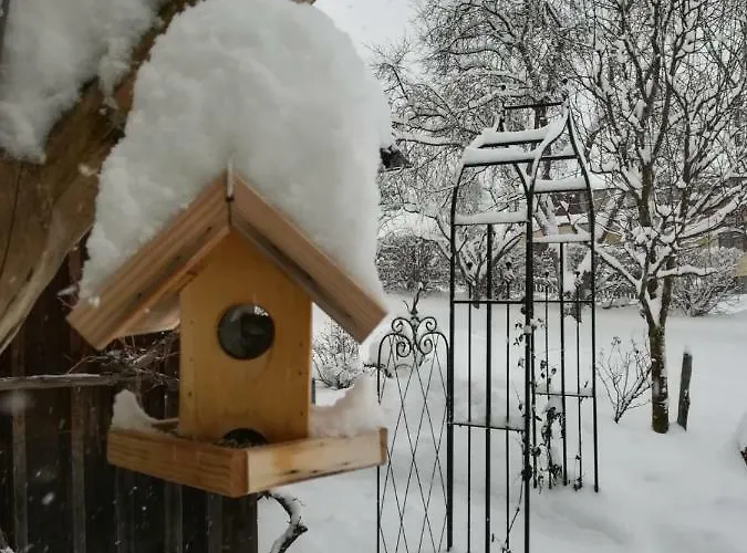 Gæstehus Lasserhof 3*