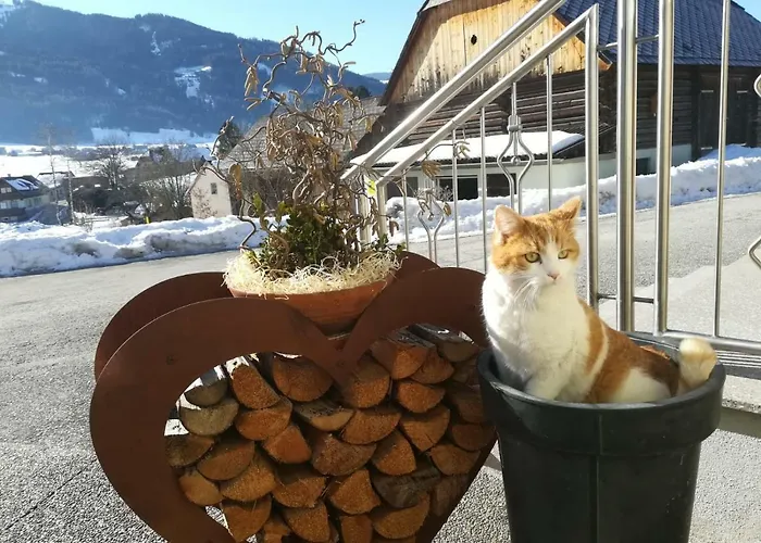 Lasserhof 3* آيغن إم إنشتال