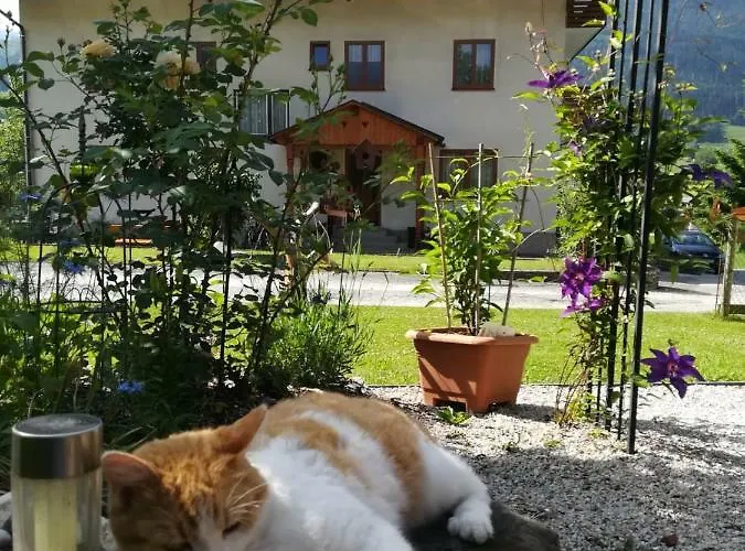 Gasthof Lasserhof Aigen im Ennstal